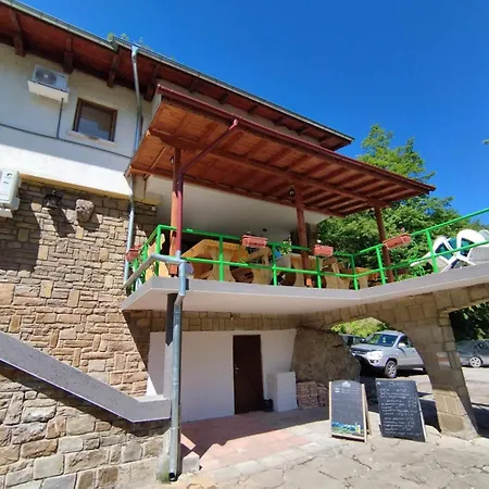 бачо киро Drjanovo